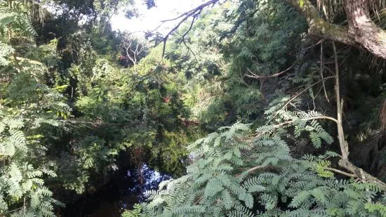 Refreshment كول بوست