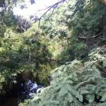 Refreshment كول بوست