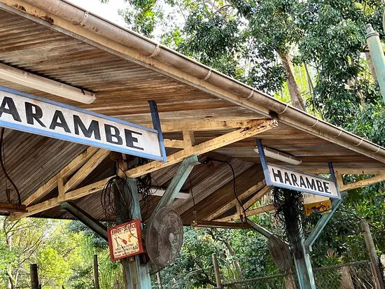 سوق هارامبي