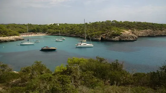 كافتيريا كالا موندراغو