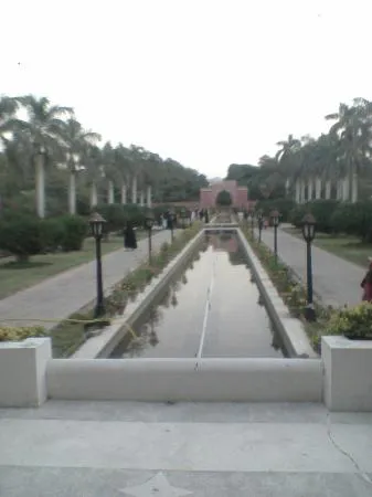 ماكدونالدز