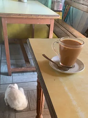 مطعم شروق الشمس