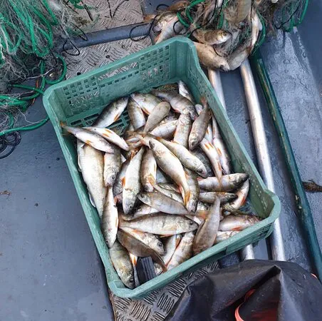 ريستورانتي سيلفيو