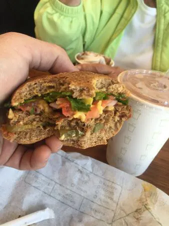 الطاقة النباتية الوجبات السريعة