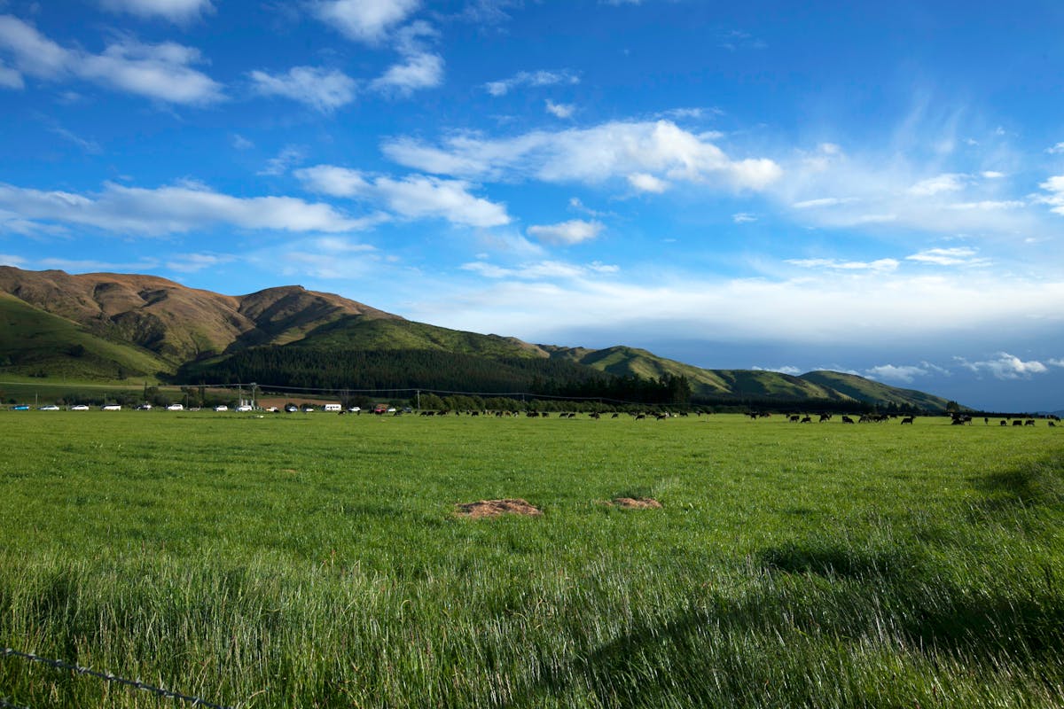 Explore Gabala