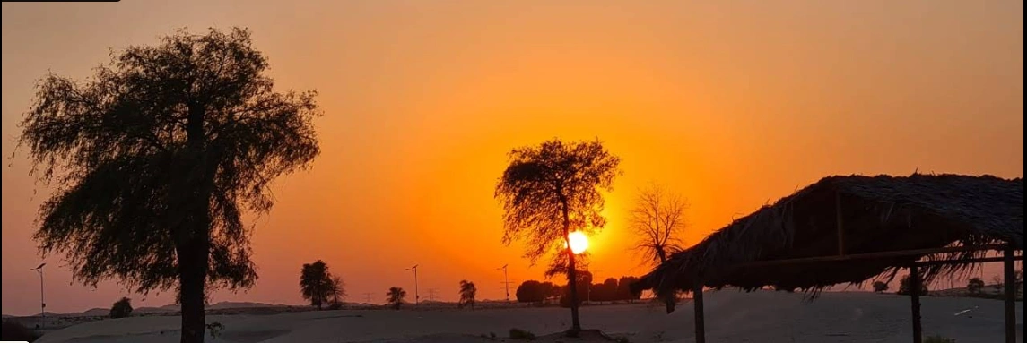 Al Wathba Cycle Track