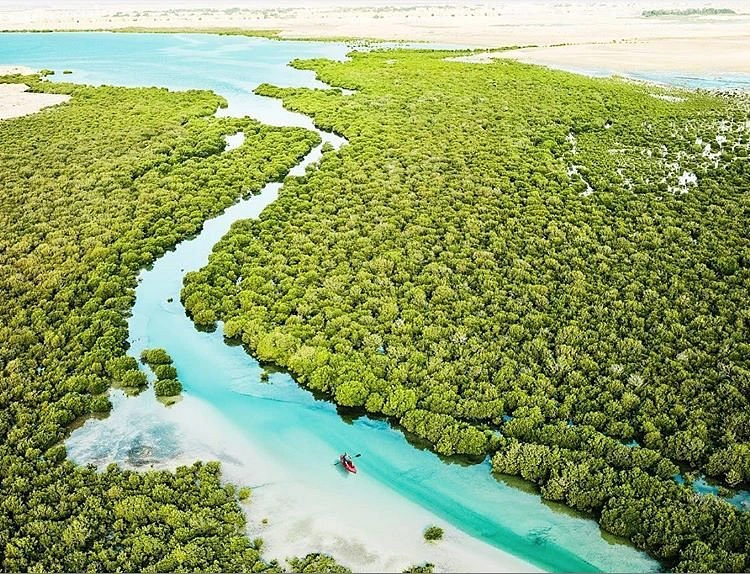 Al Thakhira Beach & Mangrove