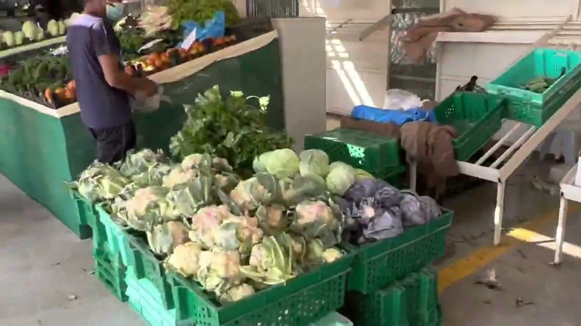 Al Wakrah Yard Farmers Market