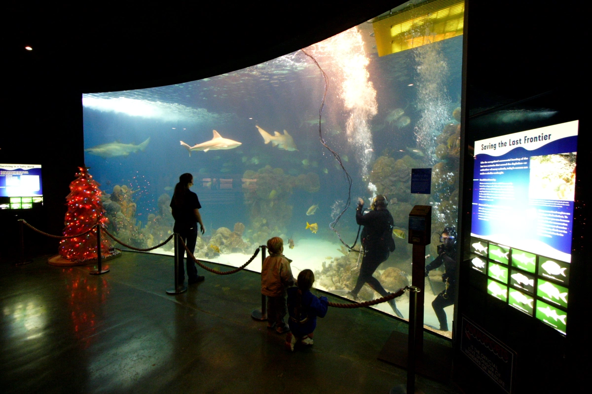 Alexandria Aquarium