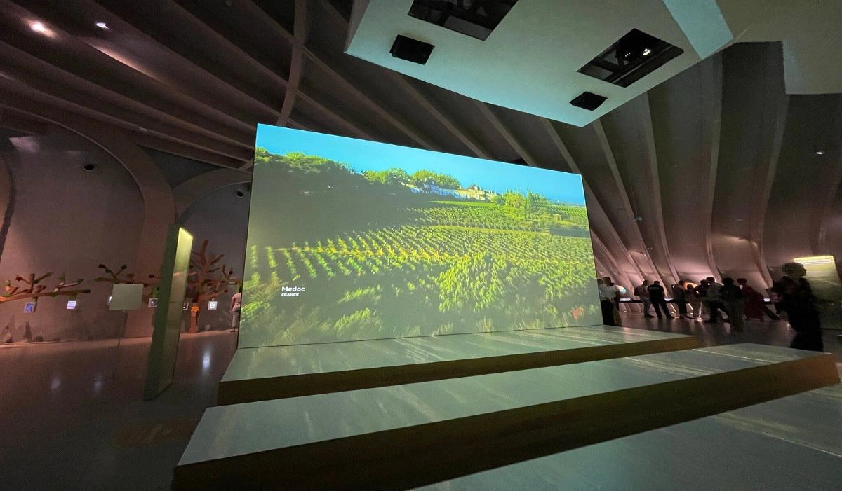 Musee du Vin et du Negoce (Museum of Wines)