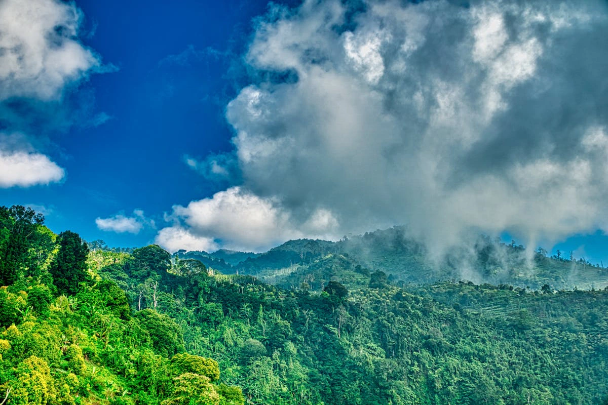 Gunung Brinchang