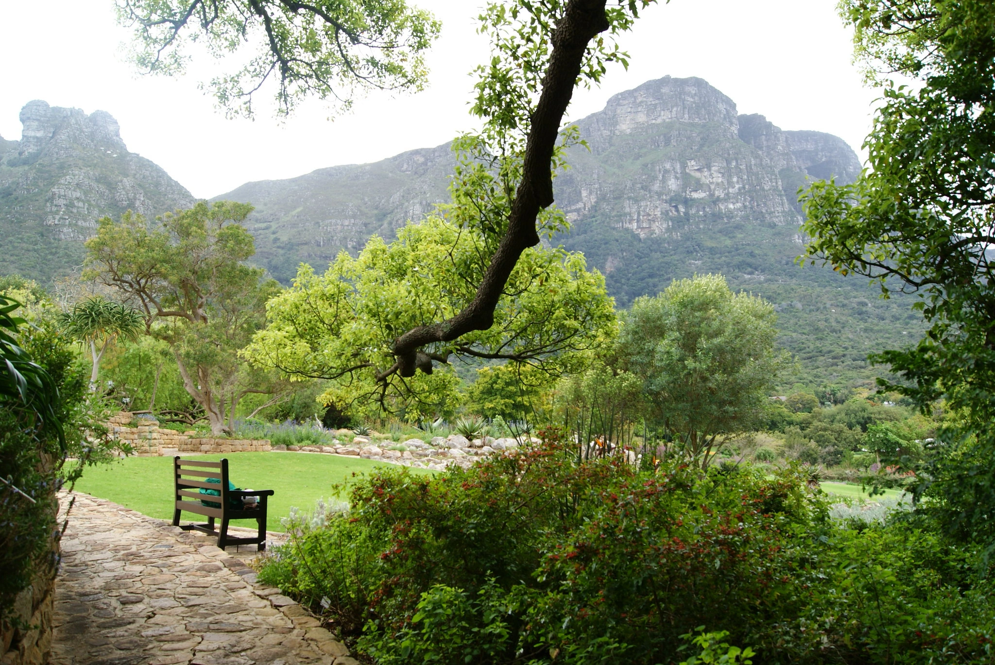 Kirstenbosch National Botanical Garden