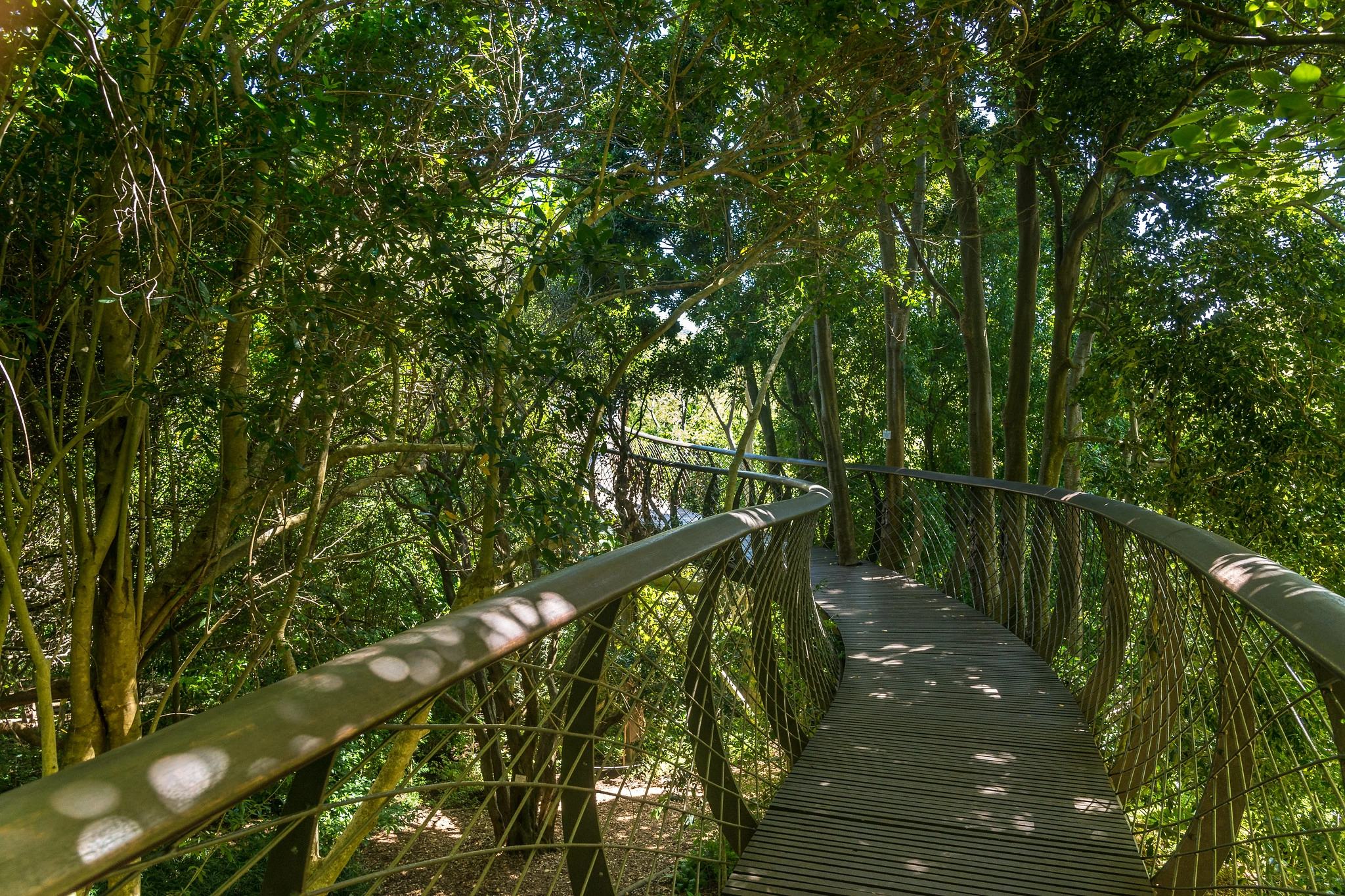Kirstenbosch National Botanical Garden