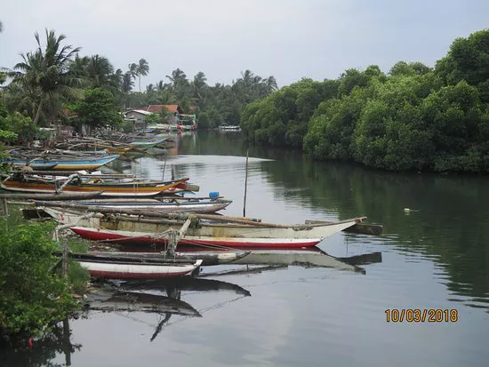 Explore Negombo Lagoon 