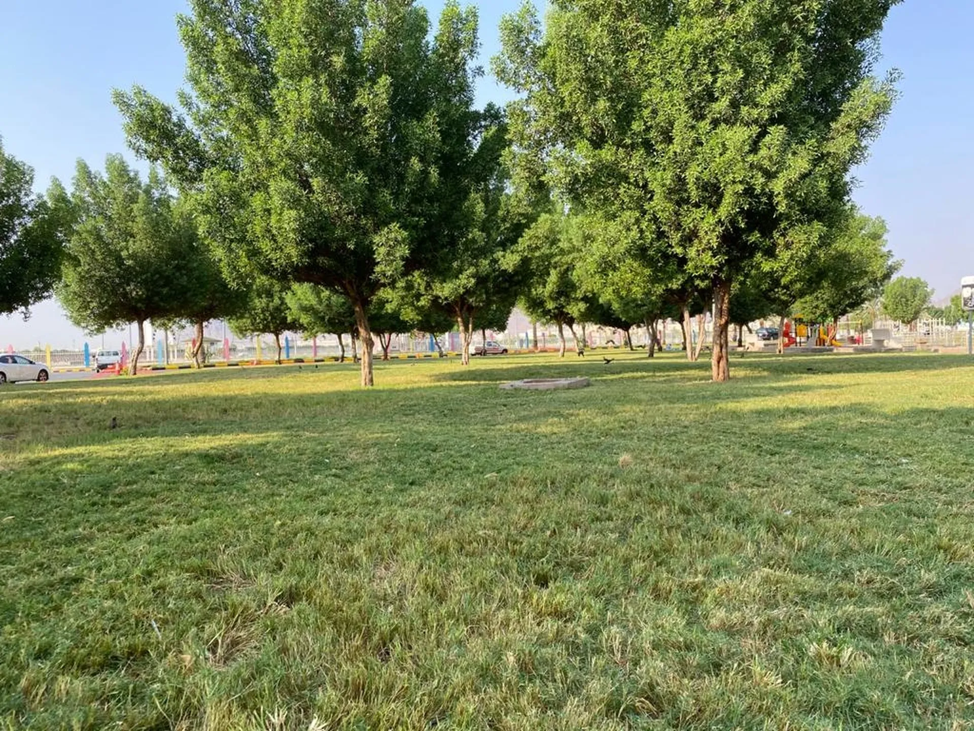 King Fahad Park