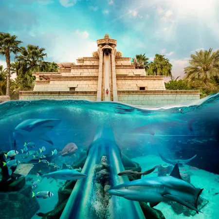 Explore Atlantis Aquaventure Waterpark 