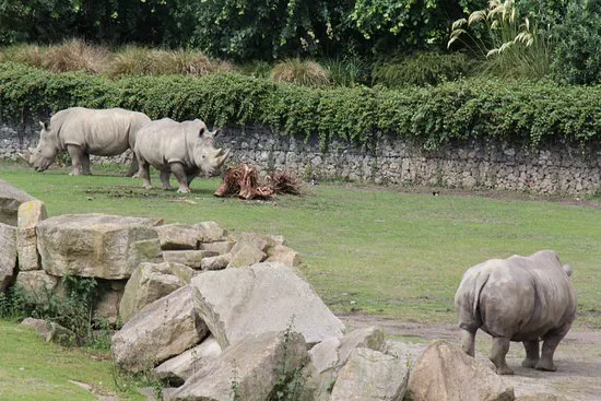 Dublin Zoo