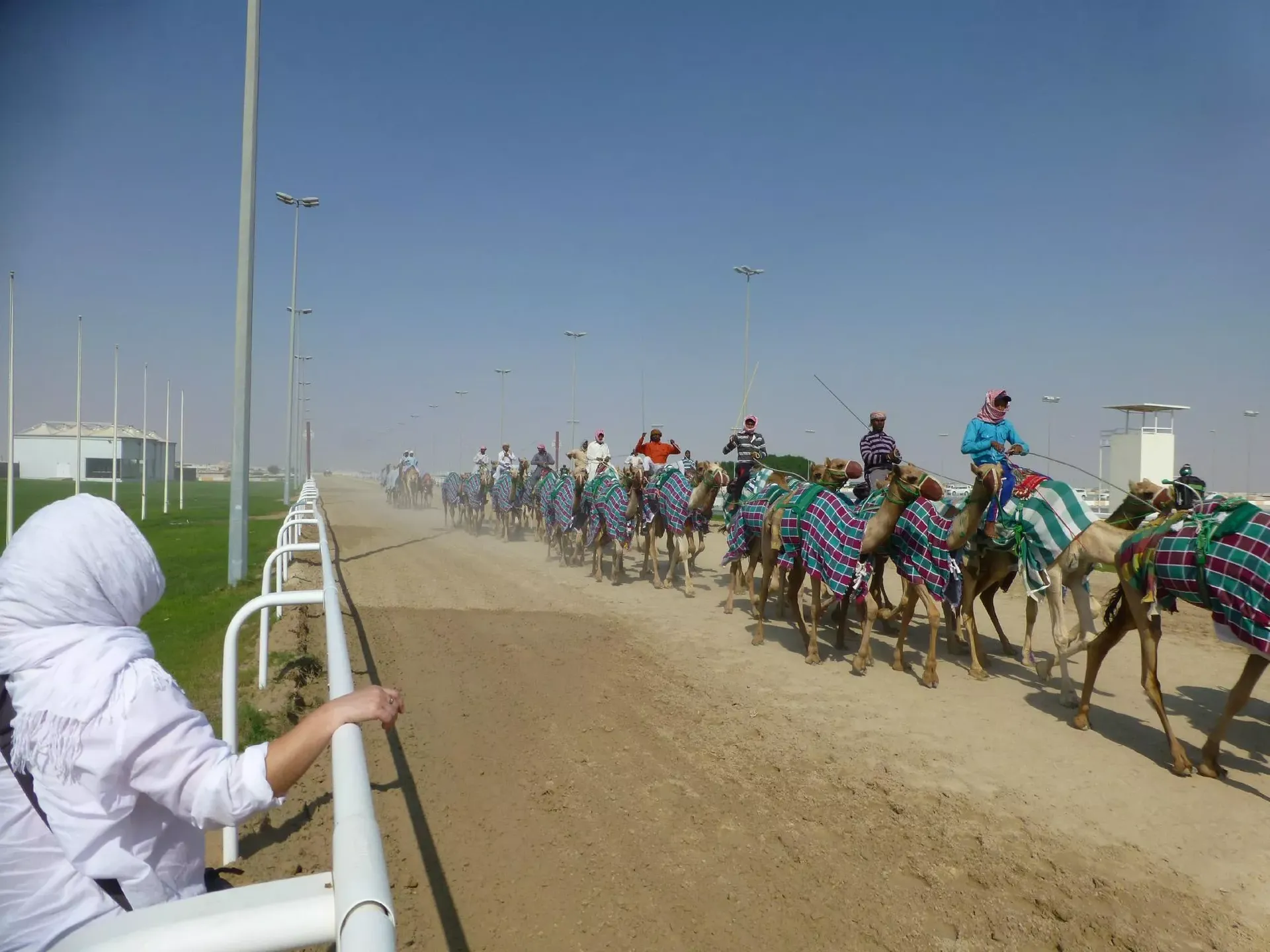 Explore Al Shahniya Racetrack 
