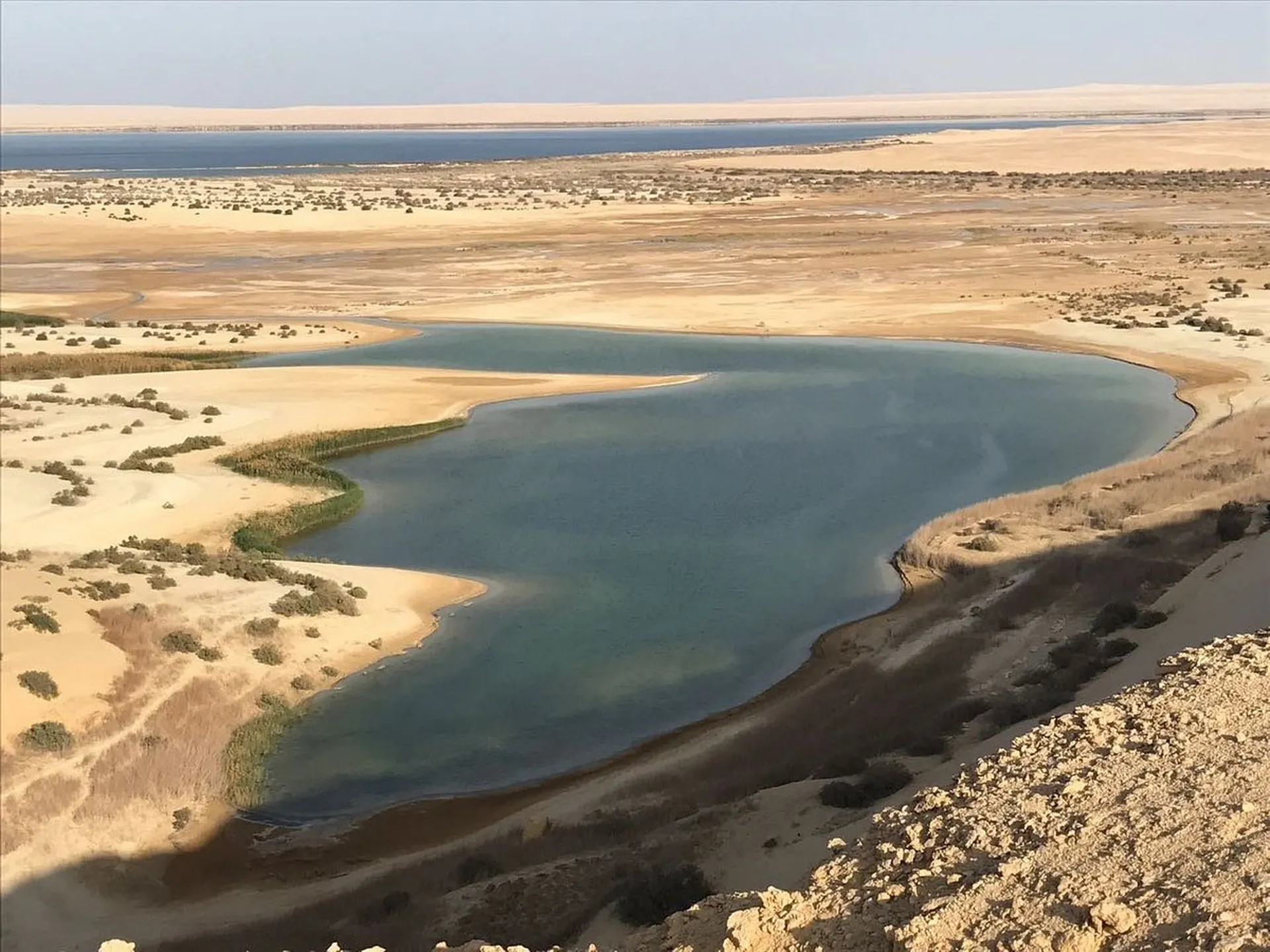 Explore Wadi El-Rayan 