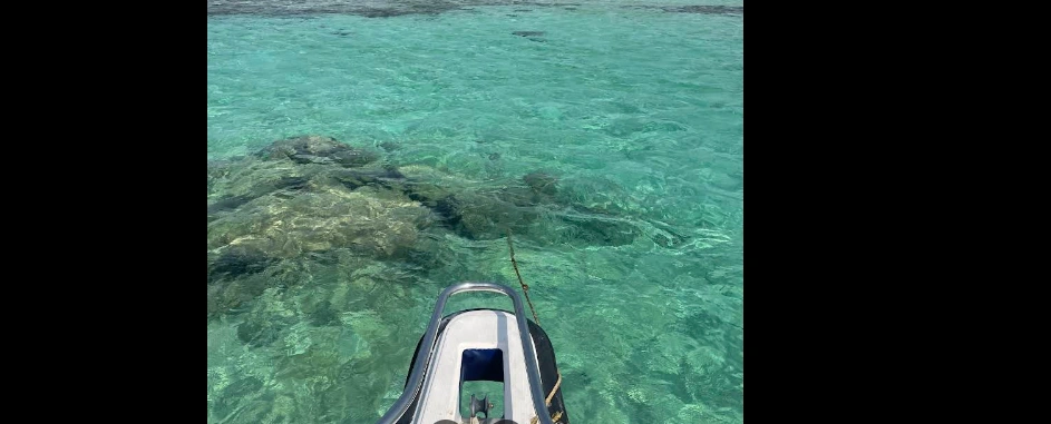 جزيرة بياضة