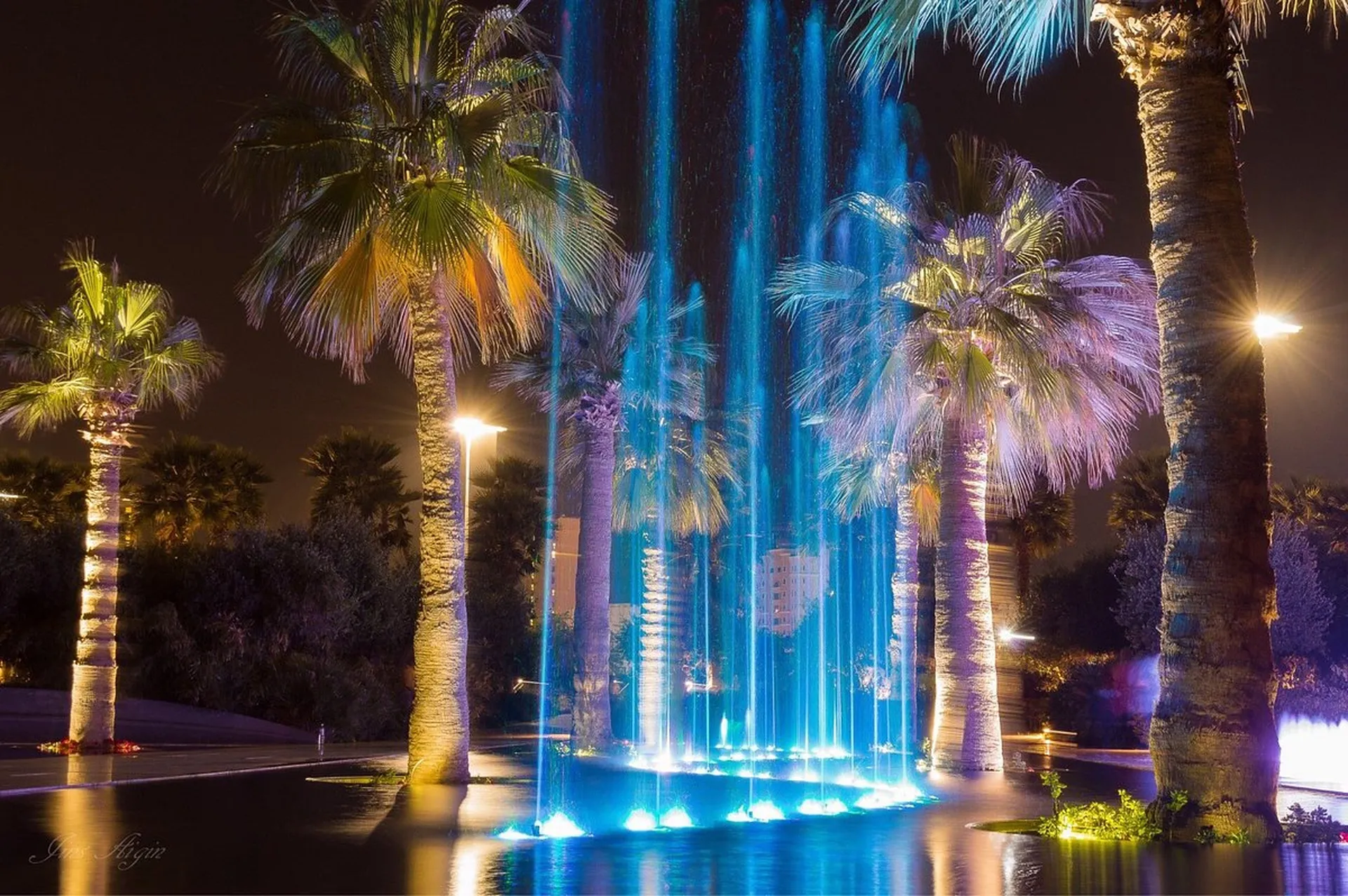 Explore Al Shaheed Park 