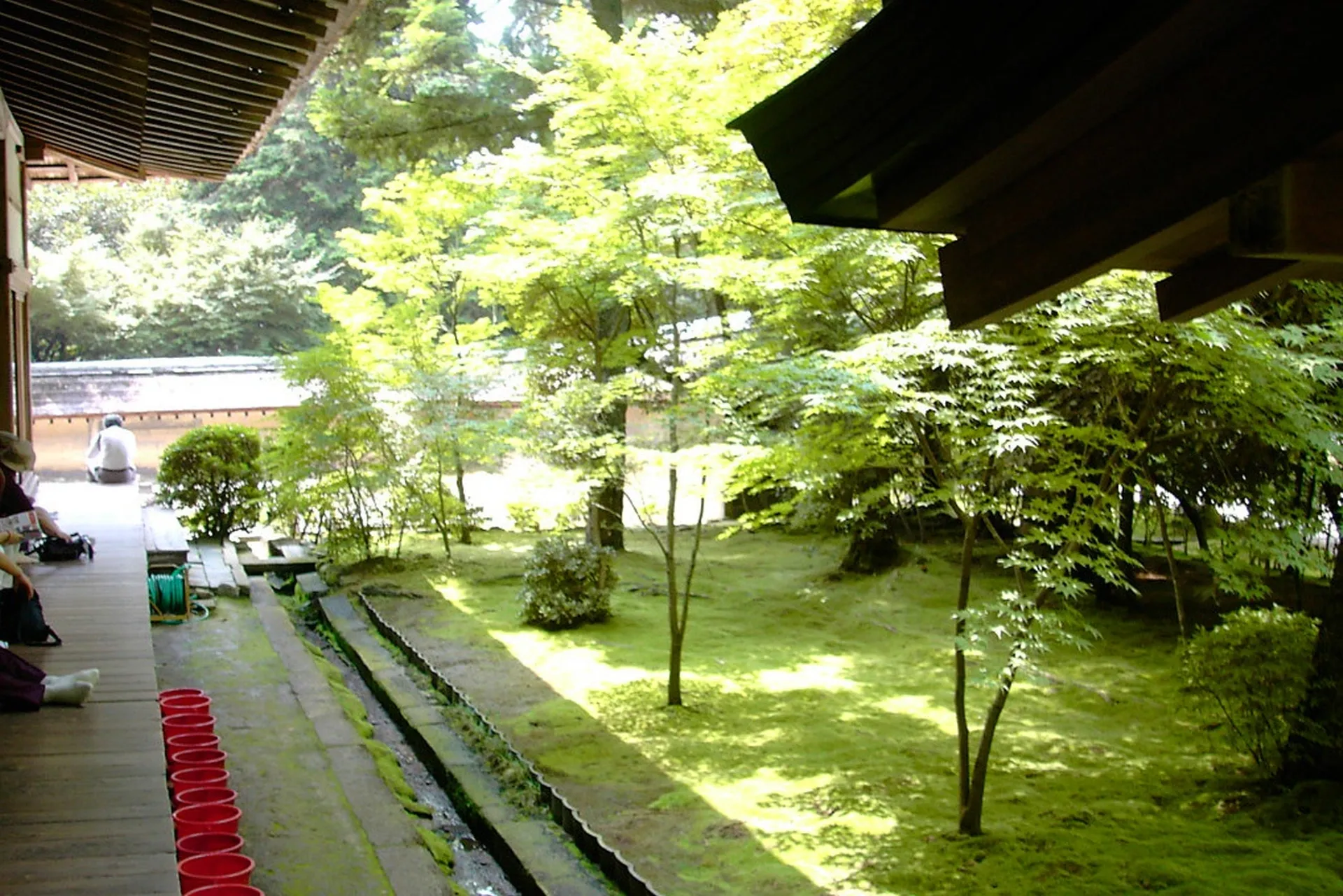 Explore Ryoanji Temple 