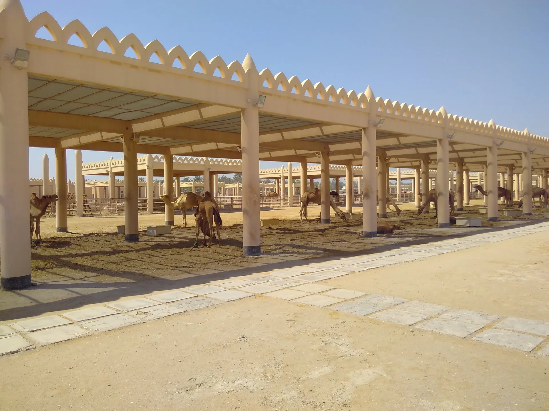 Explore Bahrain