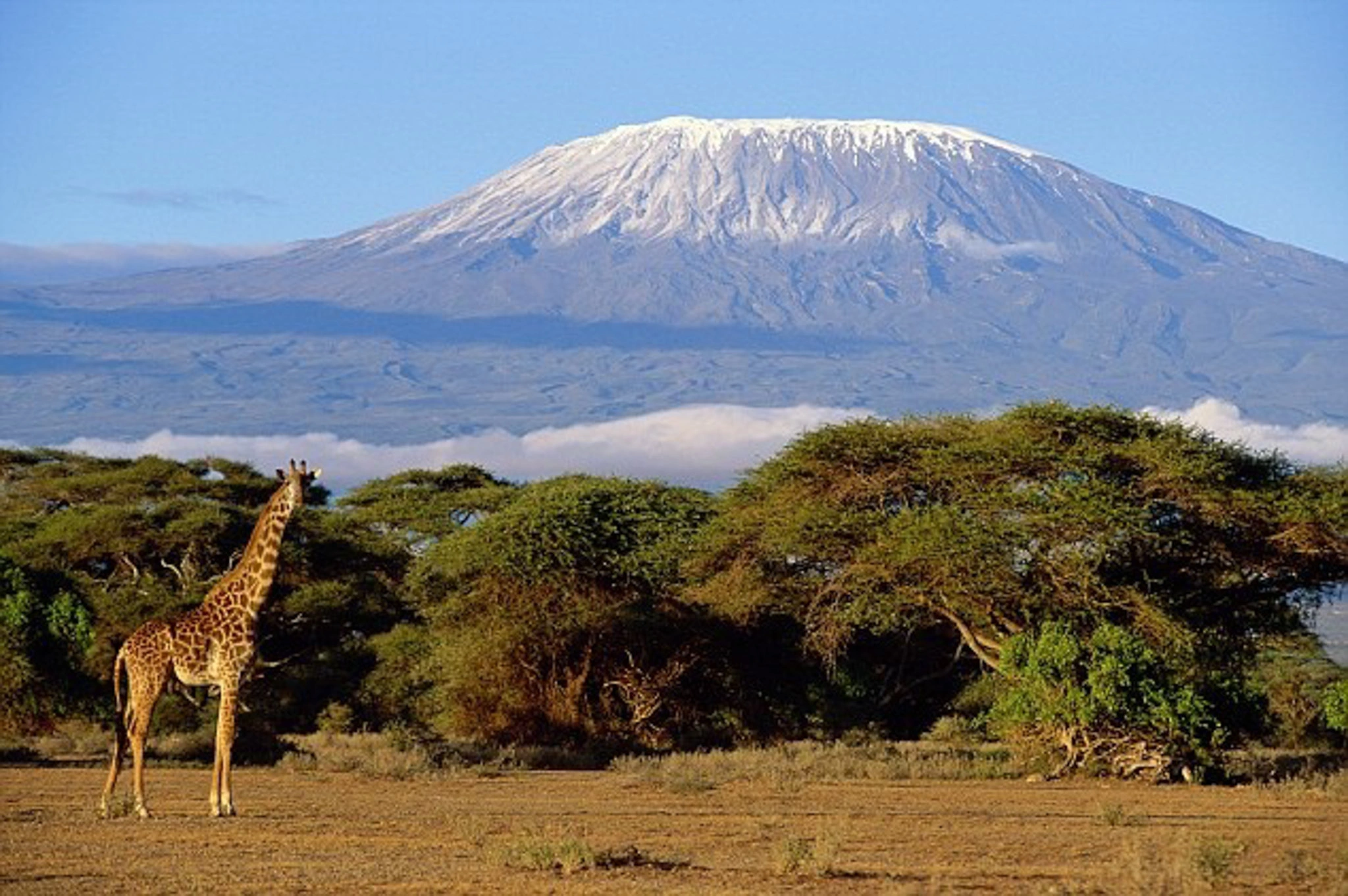 Mount Kilimanjaro