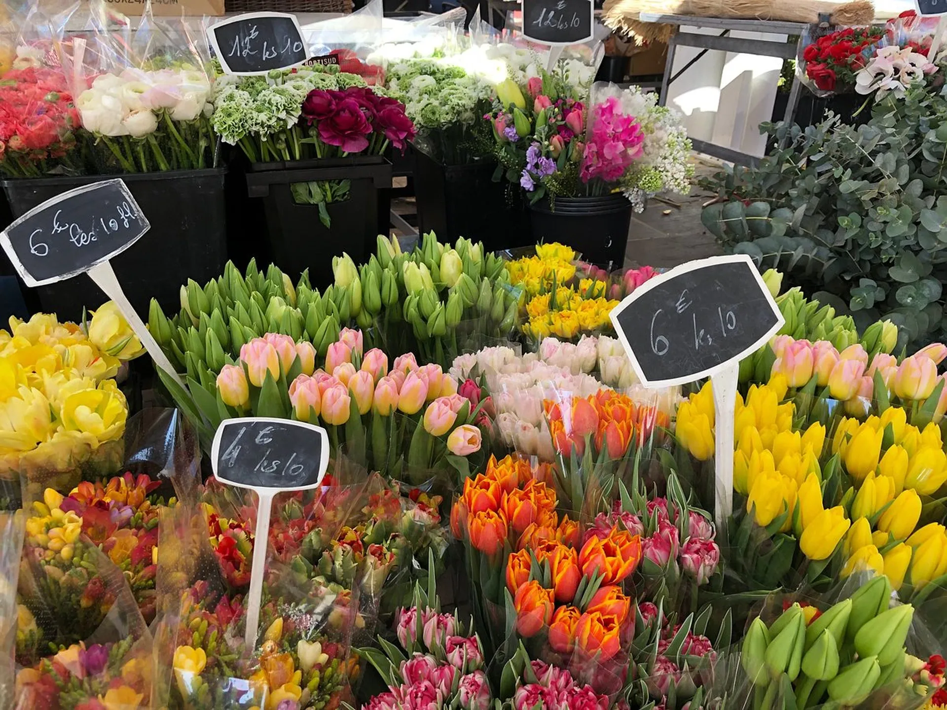 سوق الزهور في ساليا