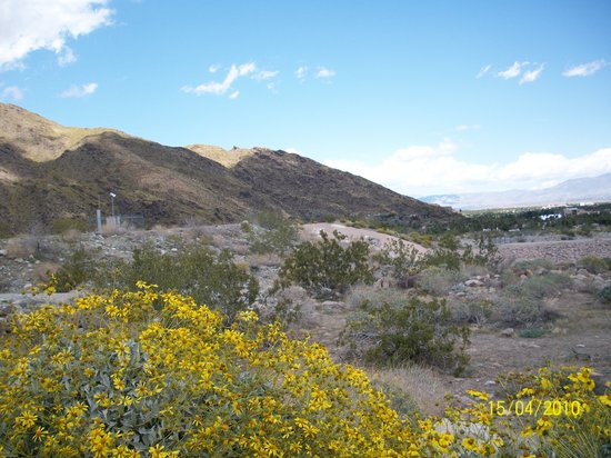 Tahquitz Canyon