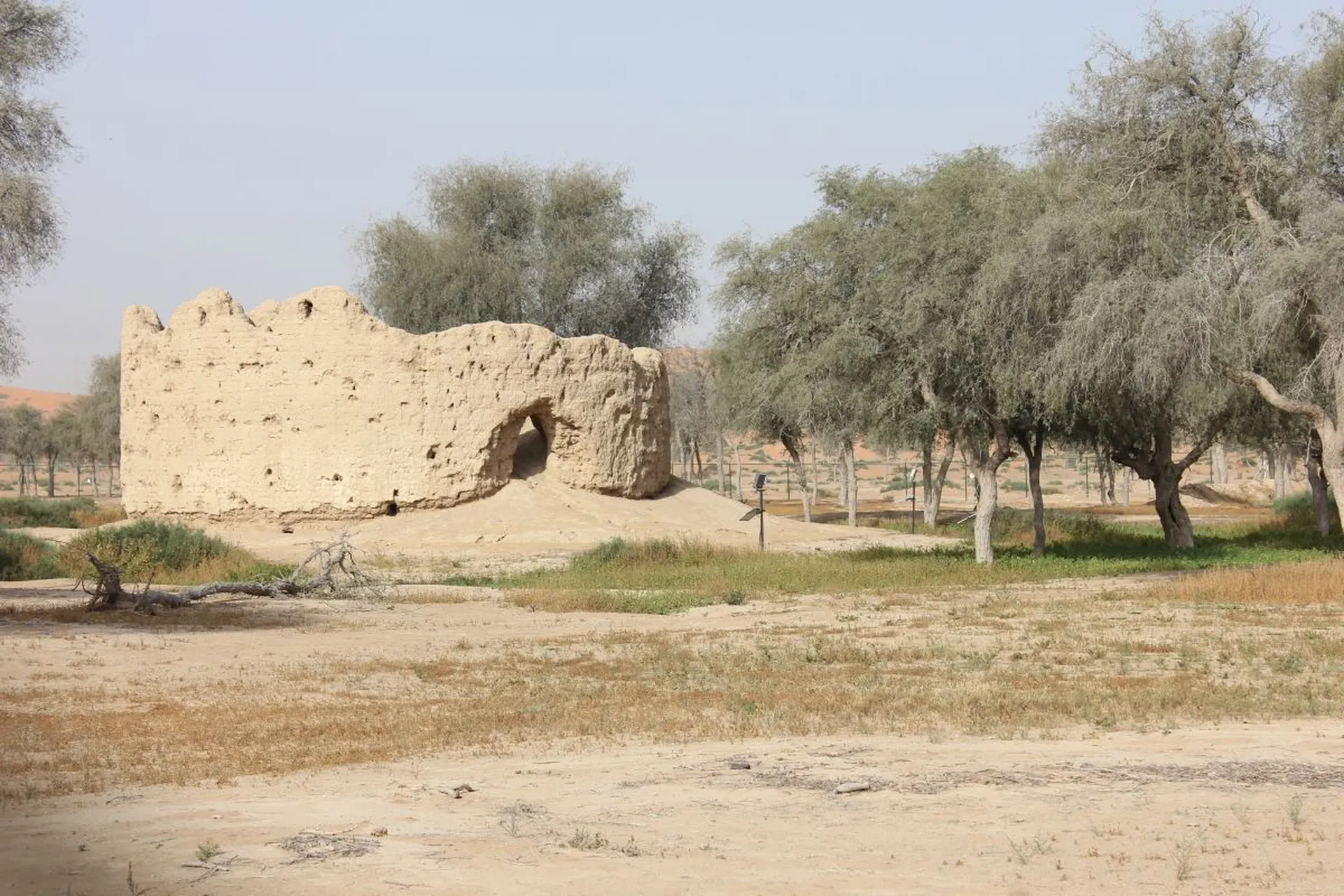 Al Mazraa Fort