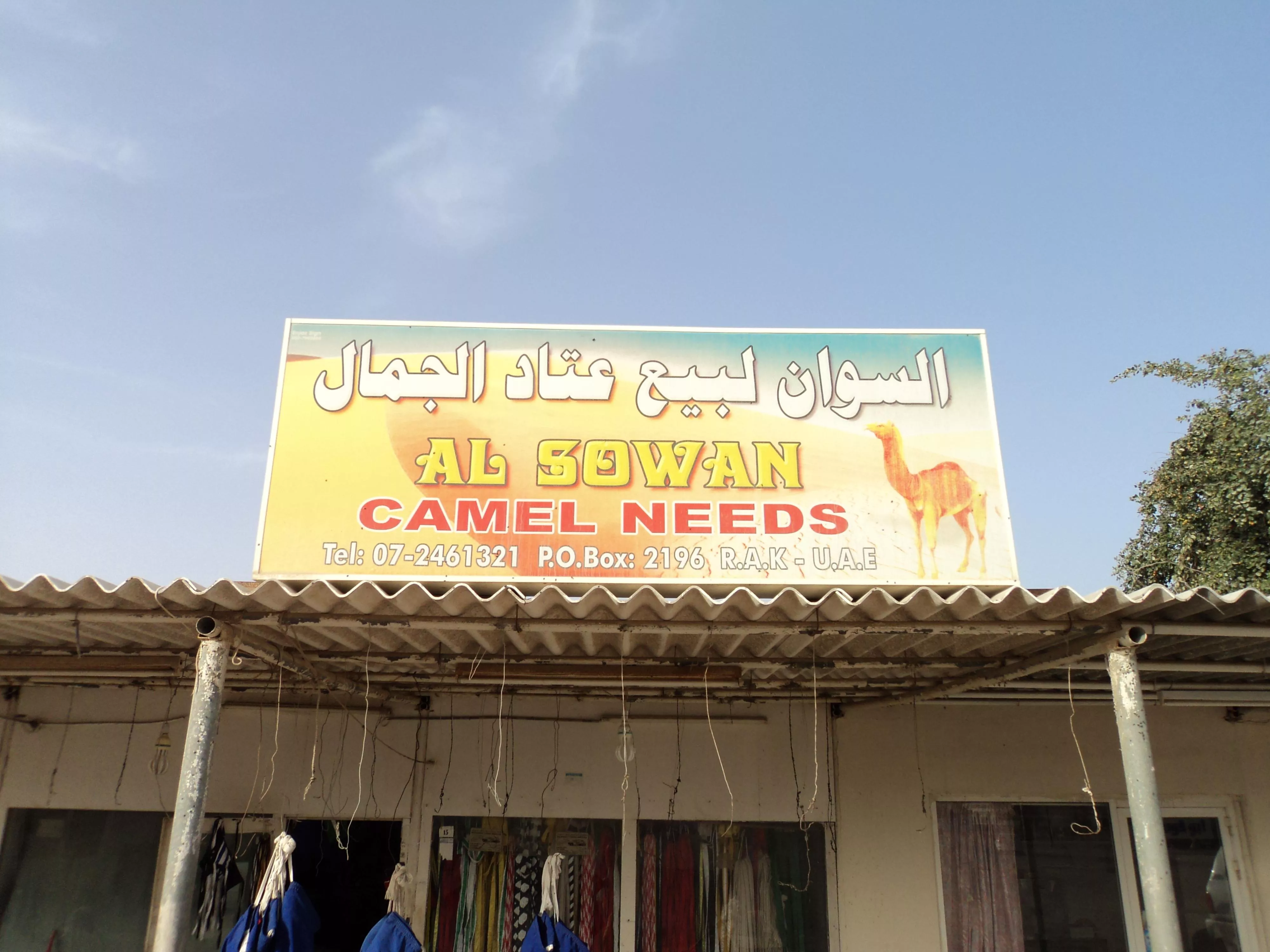 Al Sawan Camel Track
