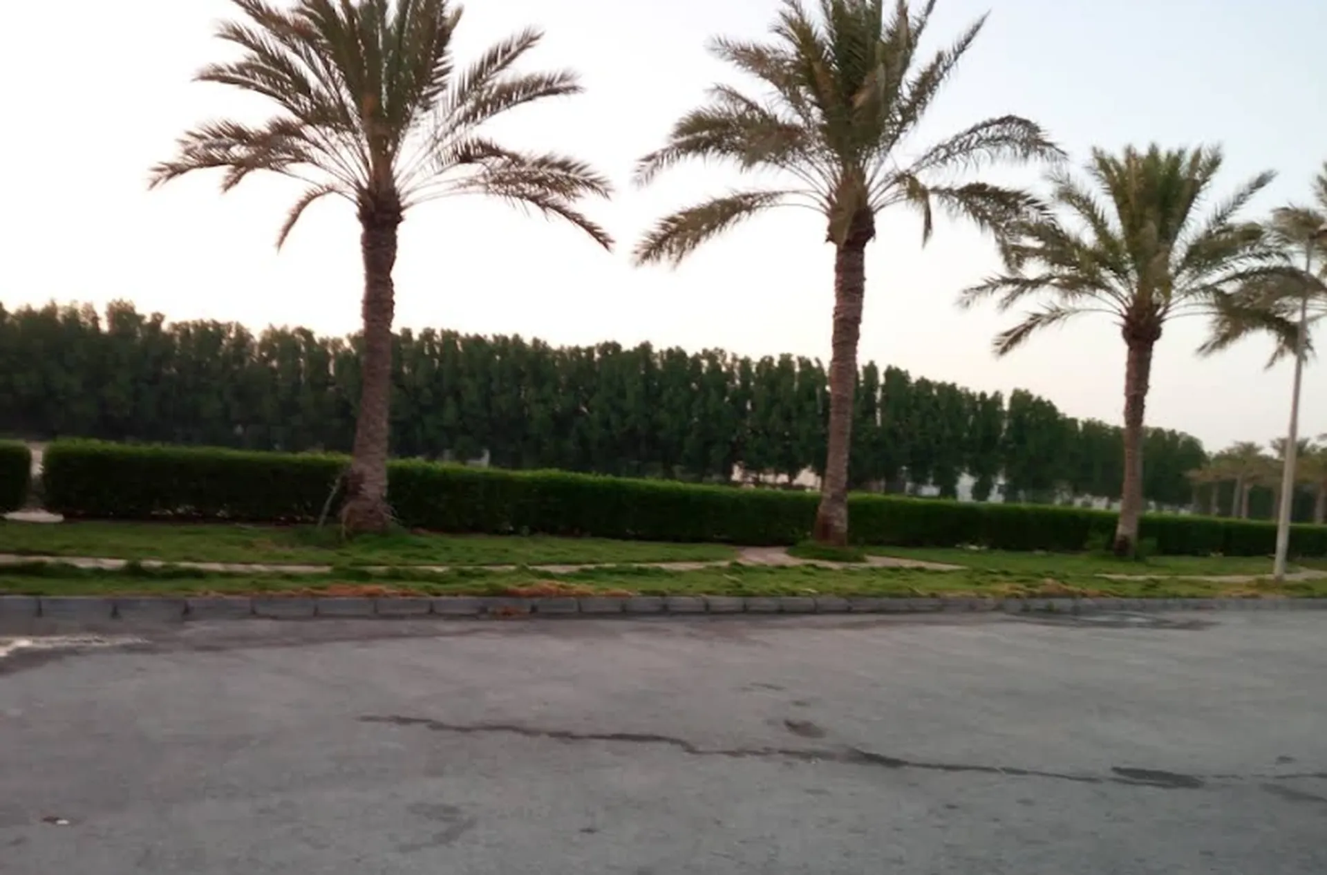Al Wafa'a Park
