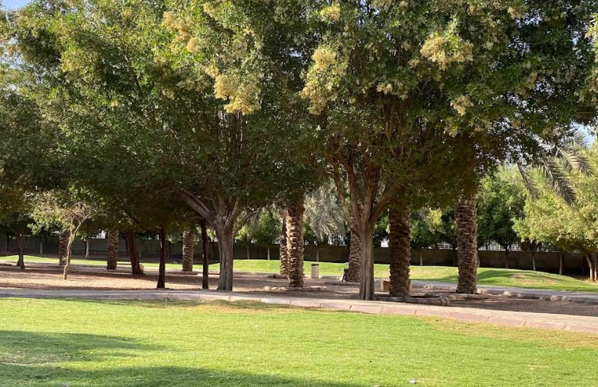 Rawdah Park