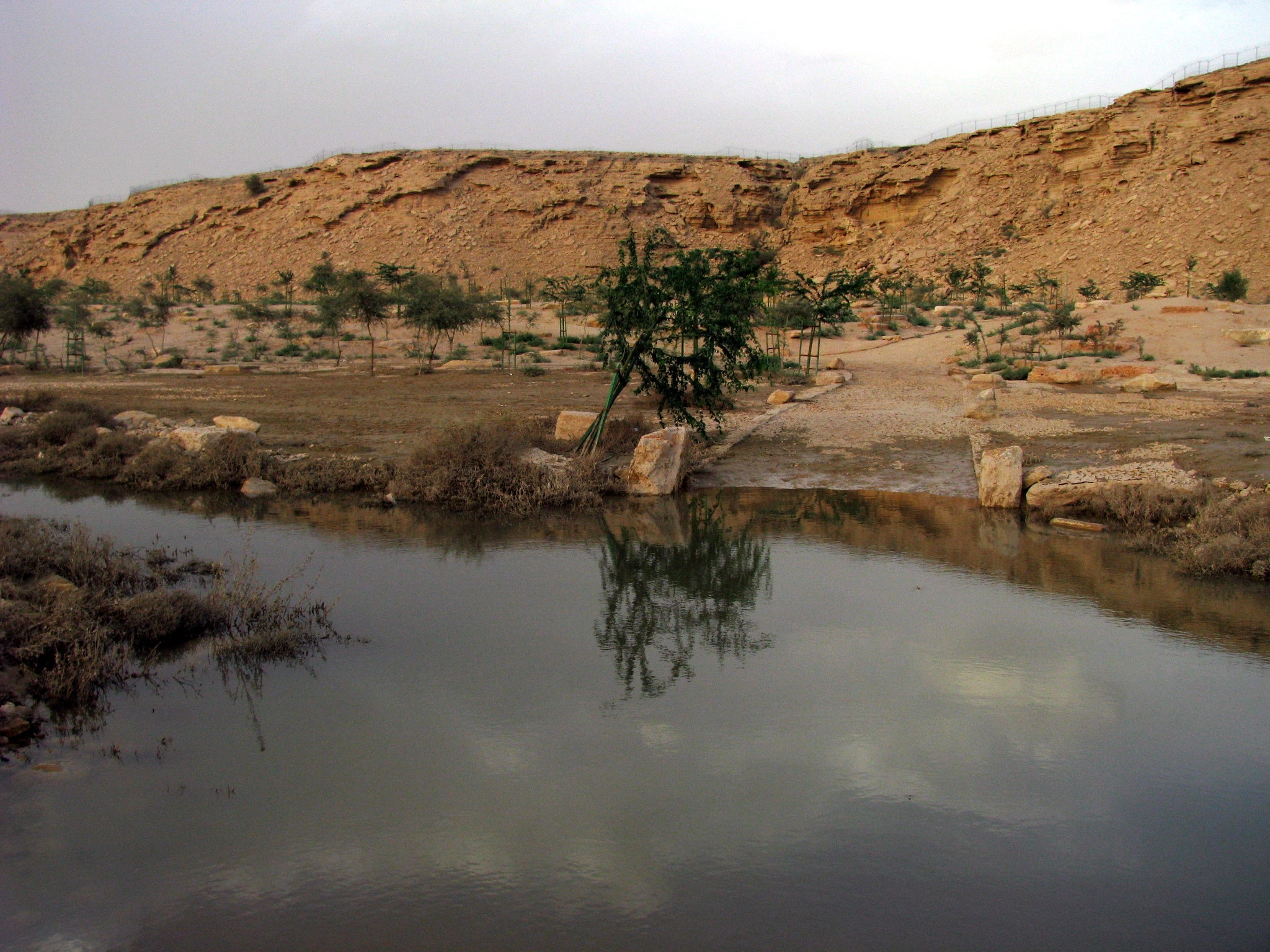 Wadi Hanifa