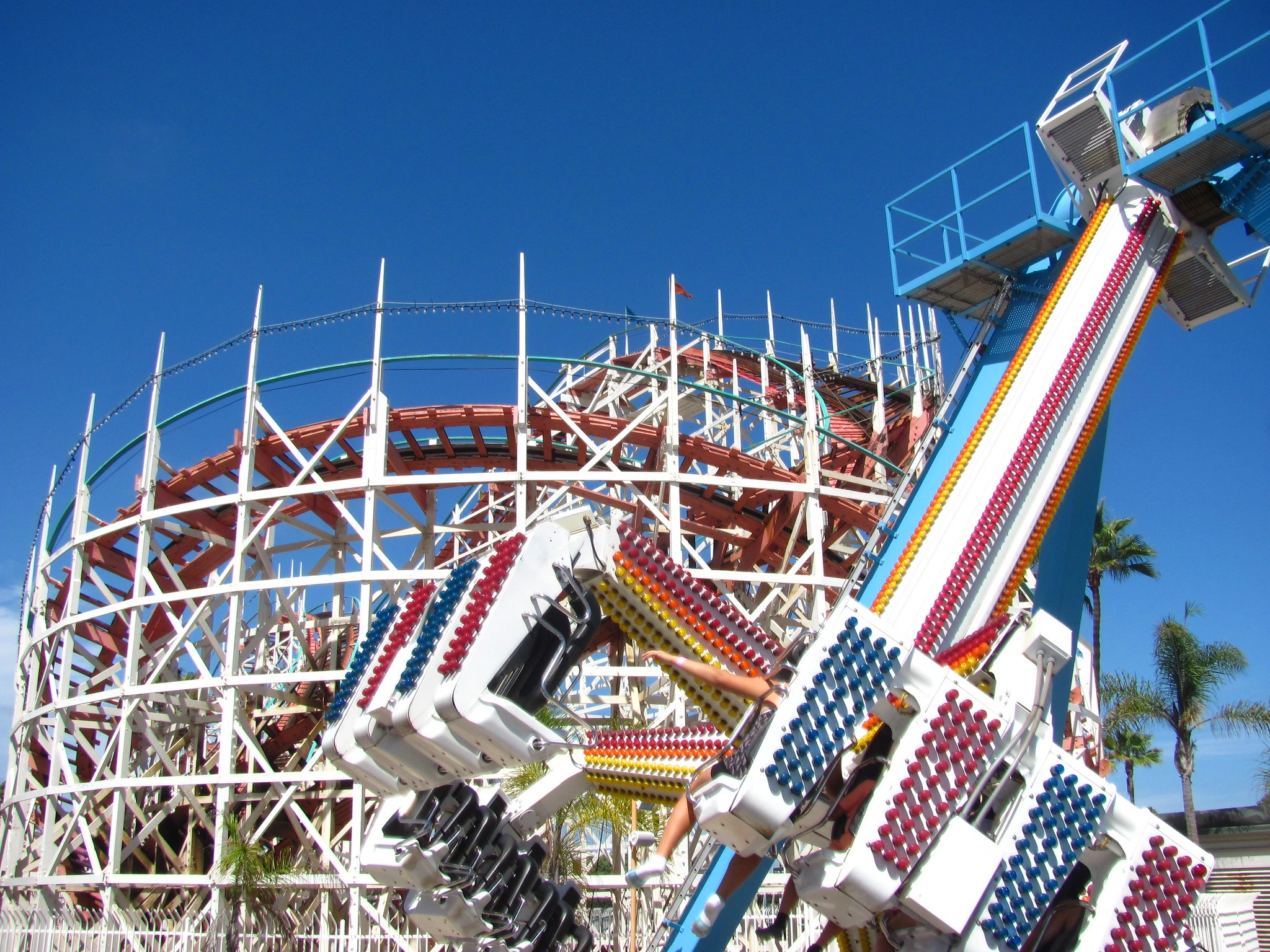 بيلمونت بارك