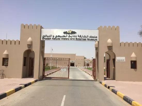 Explore Sharjah Natural History Museum and Desert Park 
