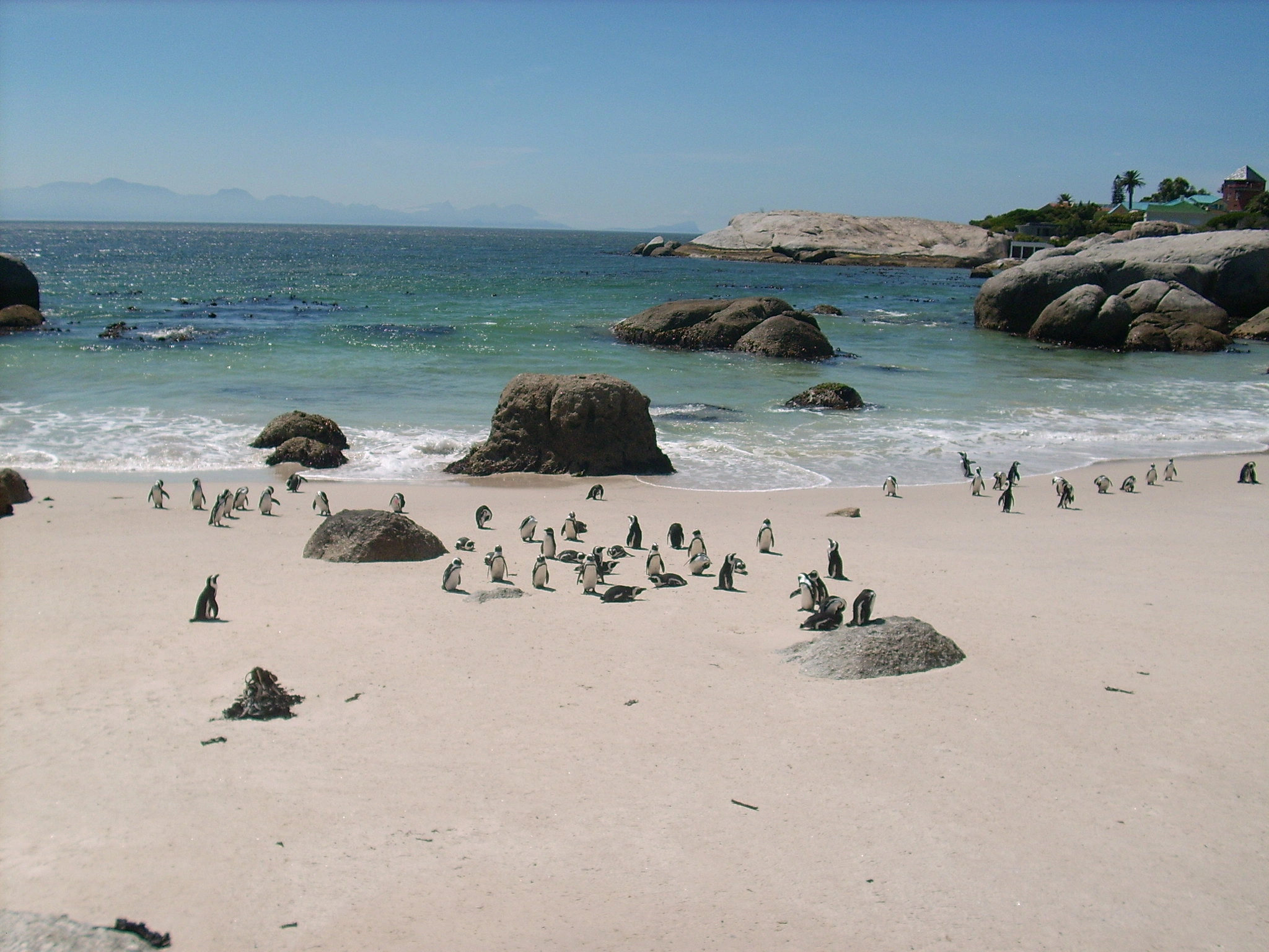 Boulders Beach