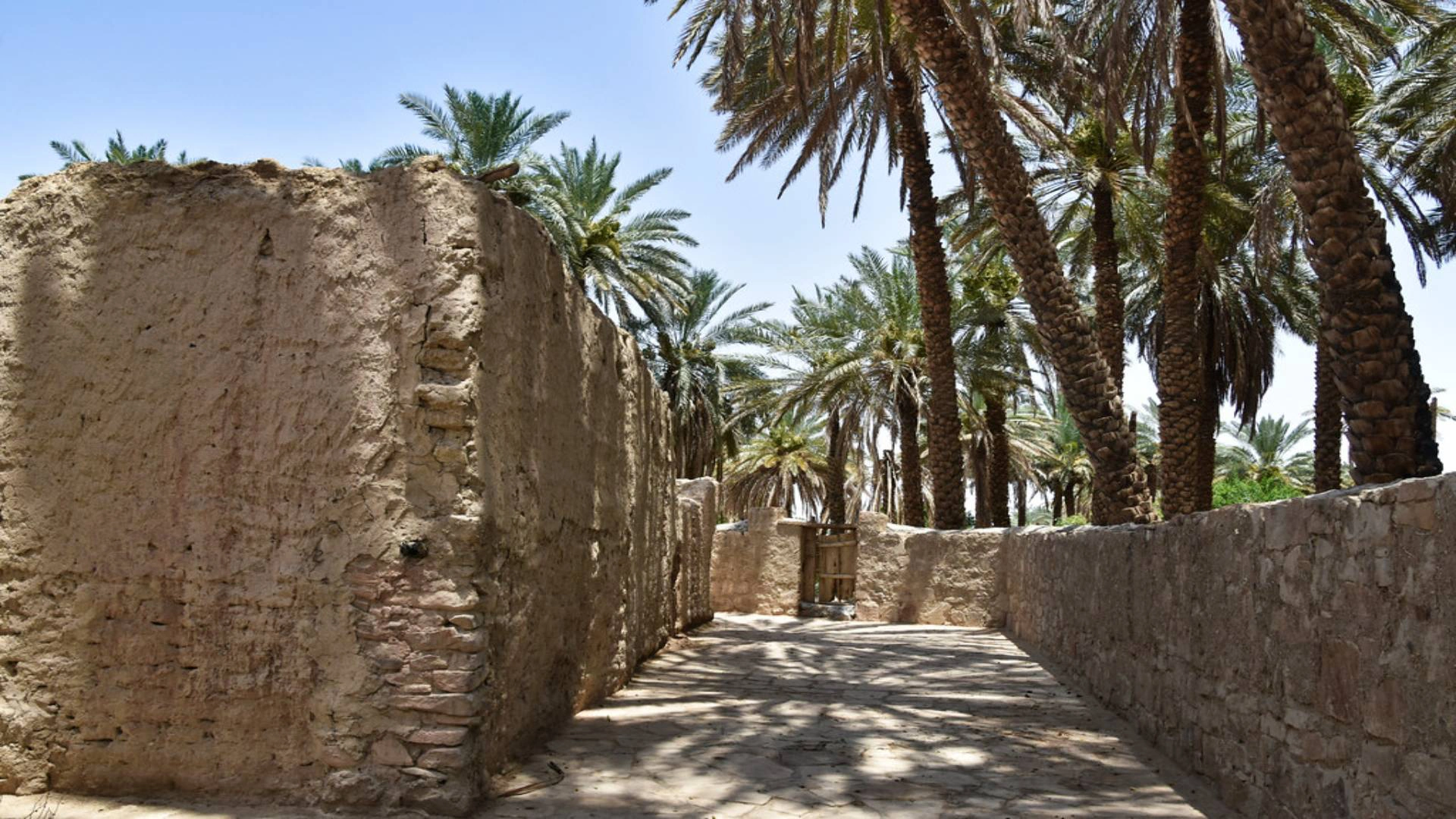 Murs de la ville de Tayma