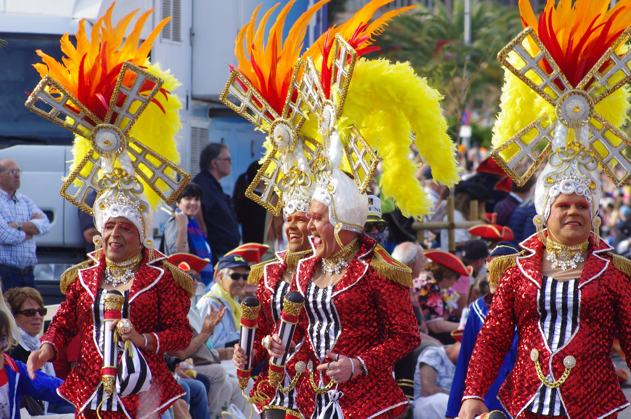 Carnival of Santa Cruz de Tenerife