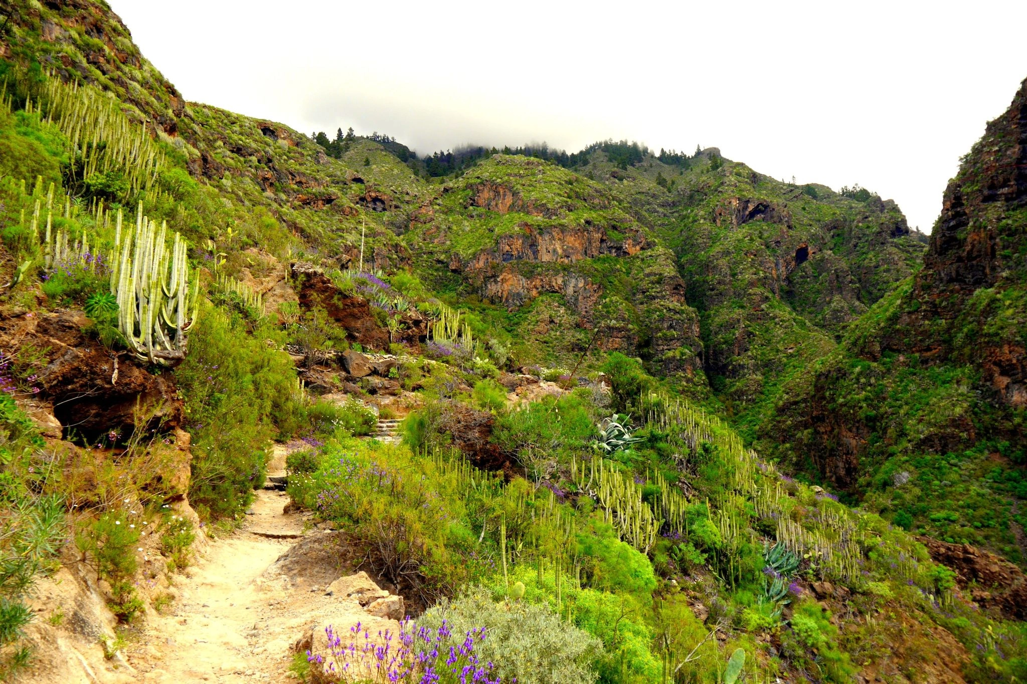 El Barranco del Infierno