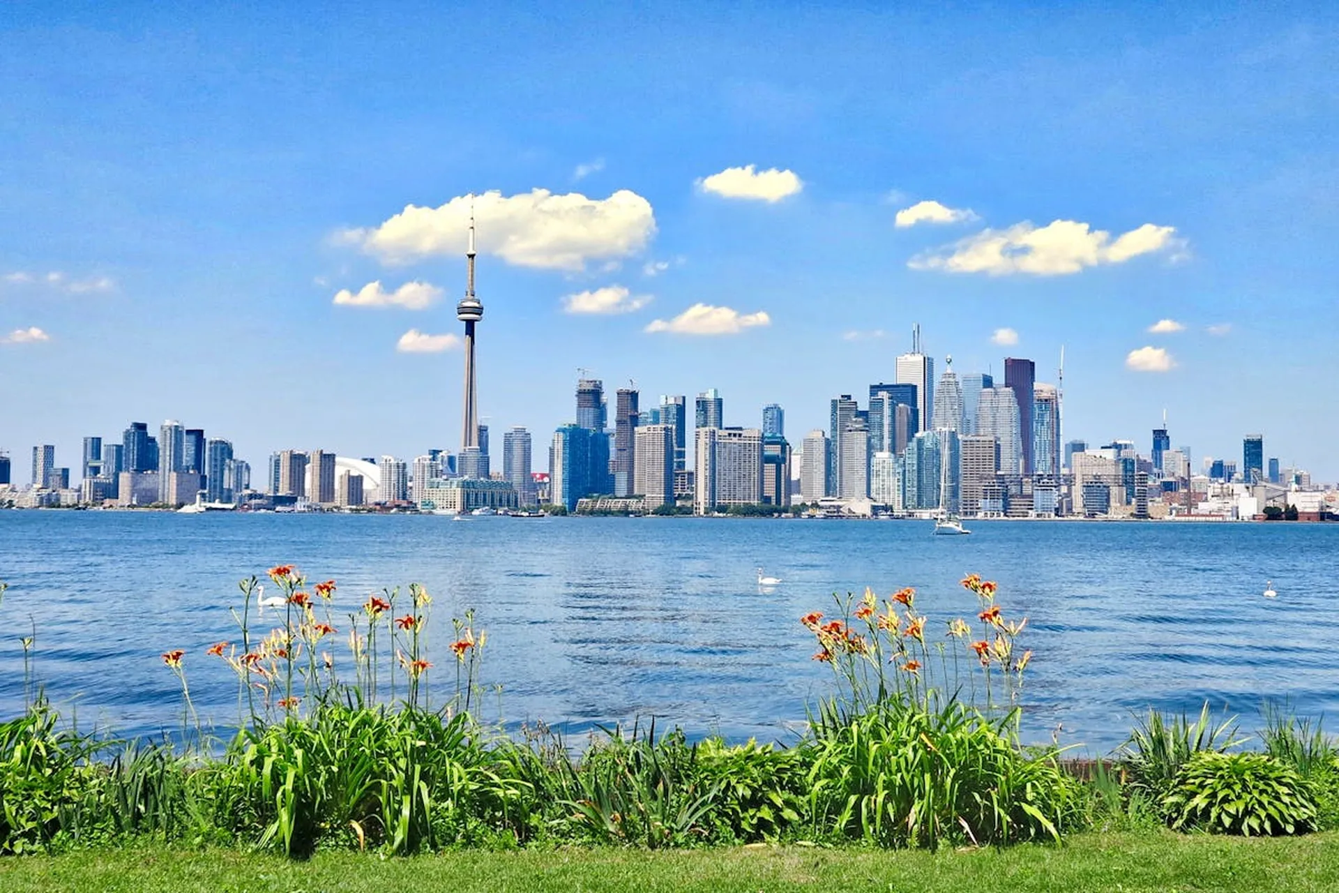 Explore Harbourfront 