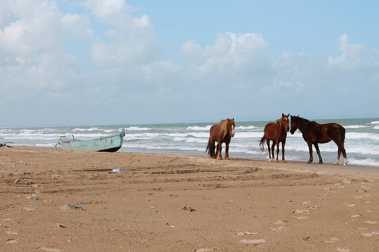 شاطئ المرسى