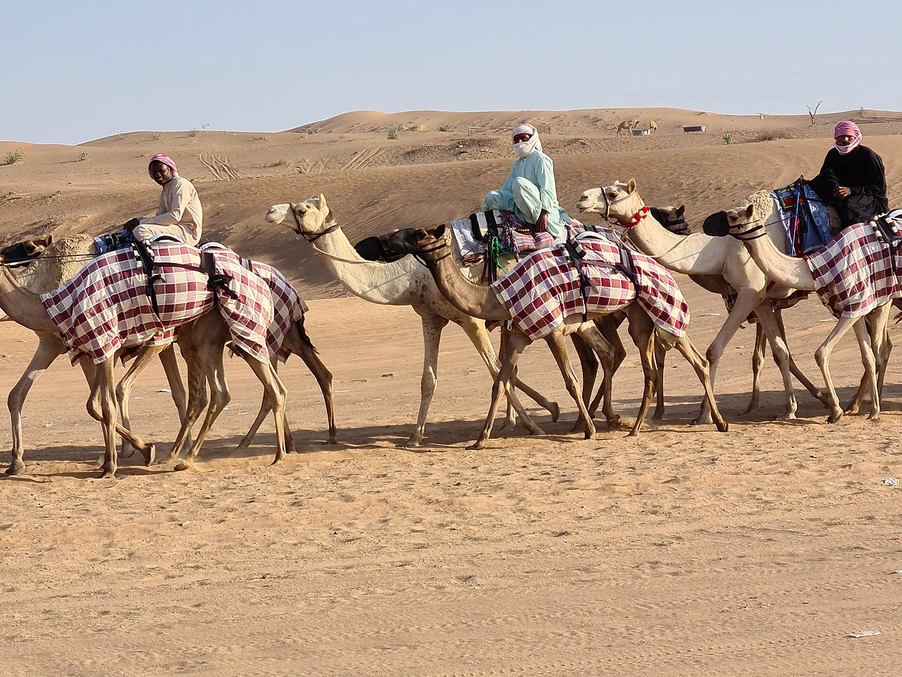 Labsah Camel Racing Track